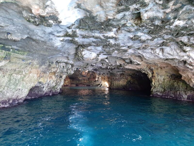 Tour in barca alle grotte di Polignano a Mare