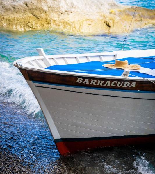 BARRACUDA Genuine Positano Boat experience